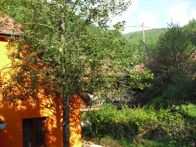 Gite S'Hiesla Rammersmatt Camera foto